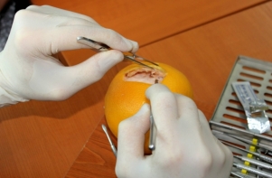 Nazzarino Dental Clinic